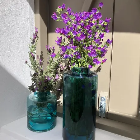 Sol Cinco Holiday home Arelho