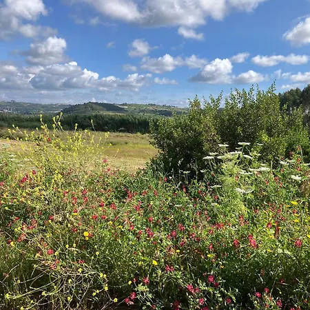 Sol Cinco Holiday home