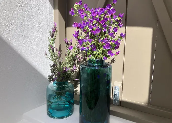 Sol Cinco Holiday home Arelho