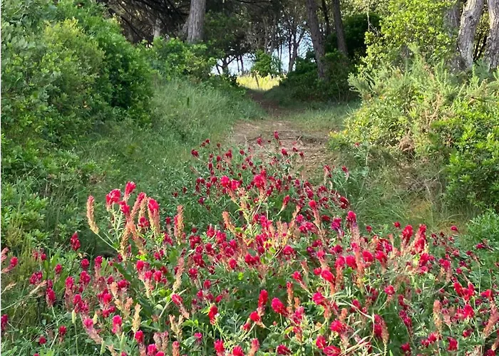 Nyaraló Sol Cinco *